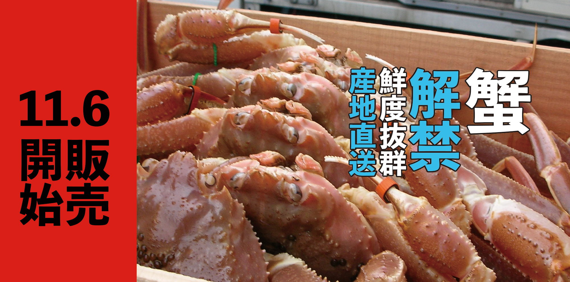 【今が旬!!京丹後カニ解禁!】京丹後から産地直送!プロが厳選した極上松葉カニをお届け